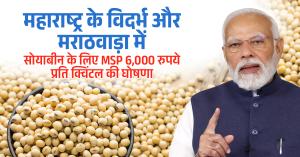 PM Announces MSP of Rs 6,000 Per Quintal for Soybean in Maharashtra's Vidarbha and Marathwada